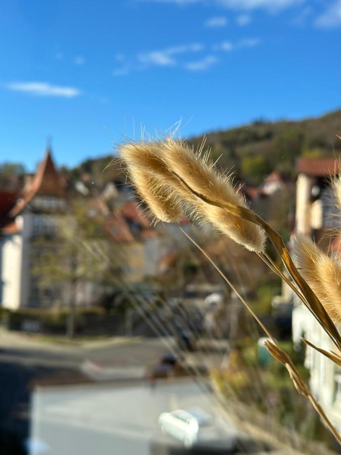 Turm.Blick Apartment กอสลาร์ ภายนอก รูปภาพ