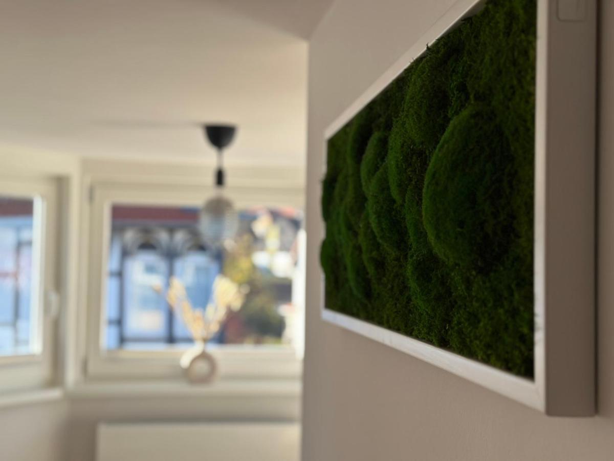 Turm.Blick Apartment กอสลาร์ ภายนอก รูปภาพ